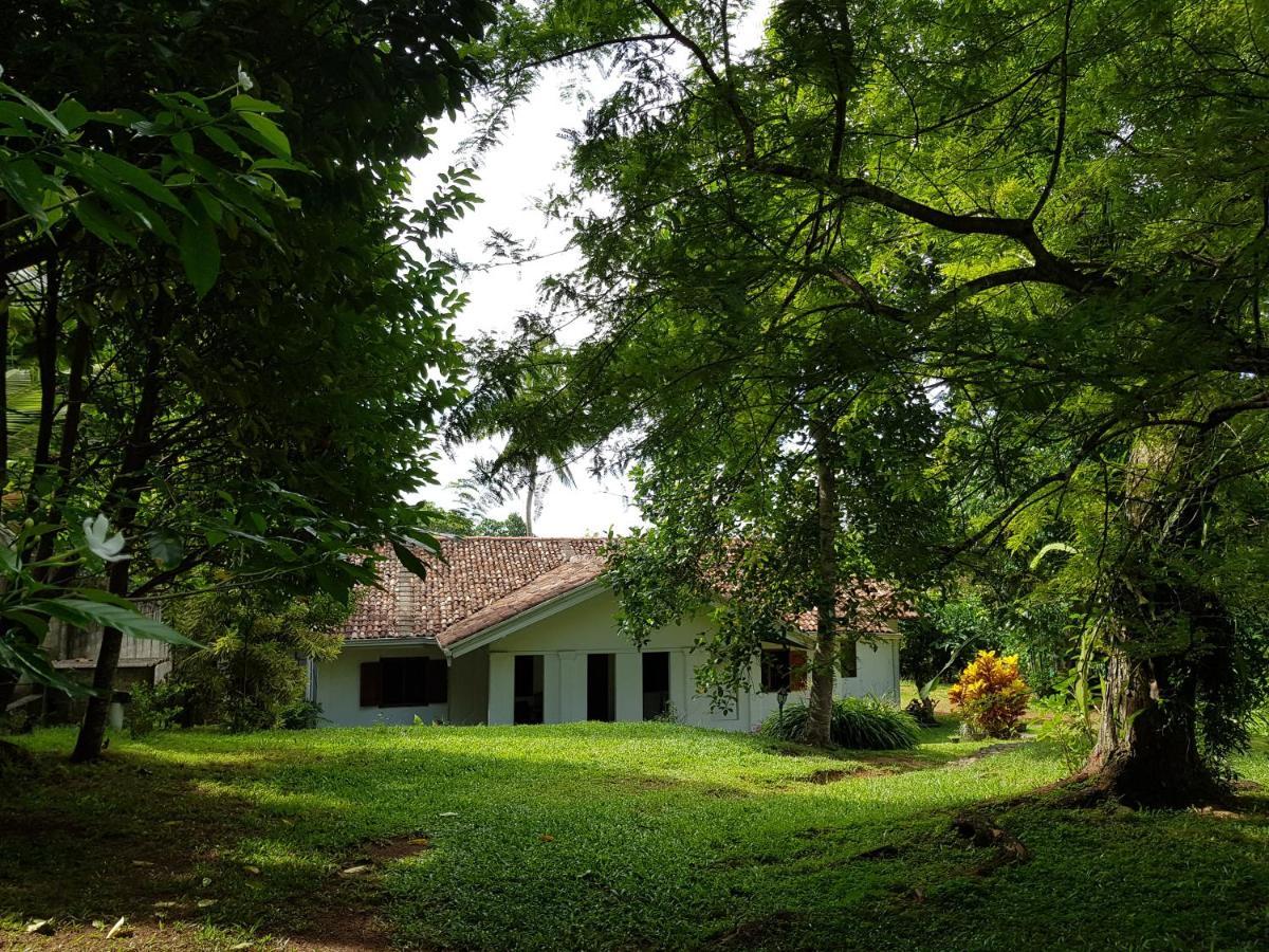 Chitra Ayurveda Bentota Exterior foto