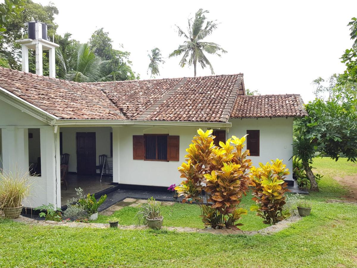 Chitra Ayurveda Bentota Exterior foto