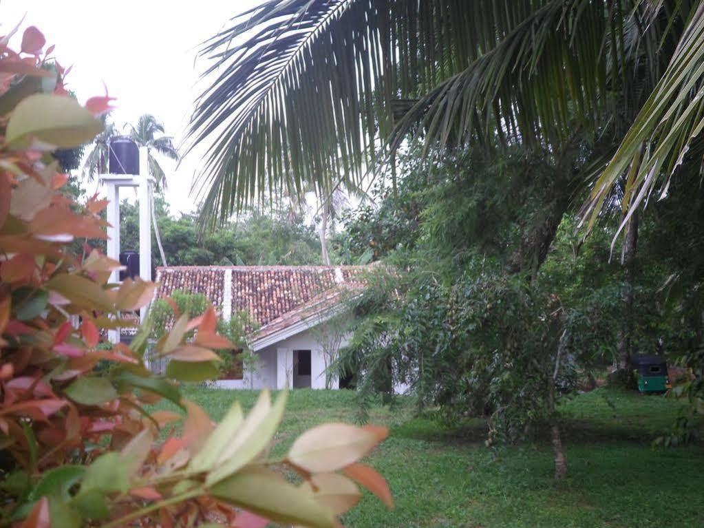 Chitra Ayurveda Bentota Exterior foto